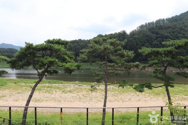 [충북] 목도강변유원지