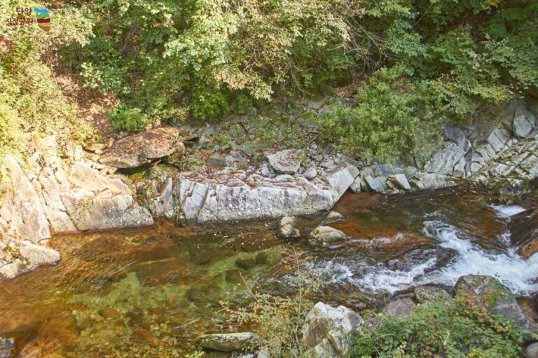 [충북] 다리안 연성전단대