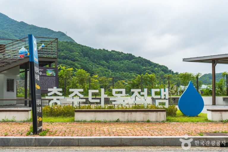 [충북] 충주댐 벚꽃길