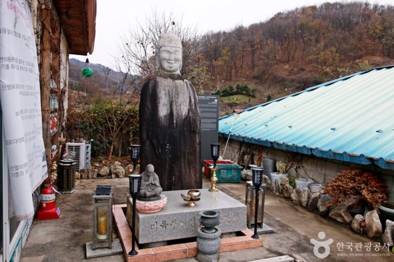 [충북] 충주 지당리 석조여래입상