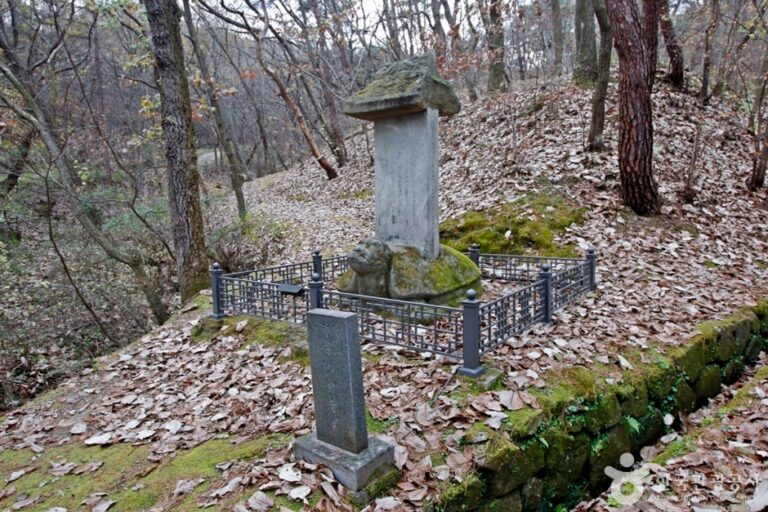 [충북] 충주 청룡사 위전비