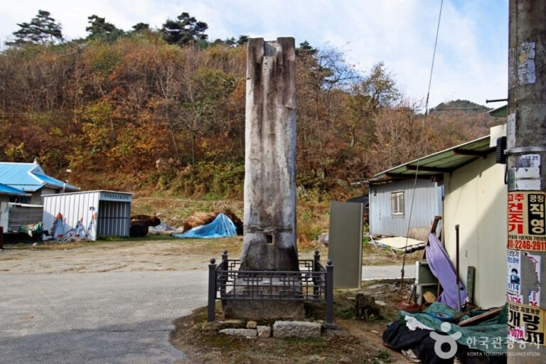 [충북] 충주 숭선사지 당간지주