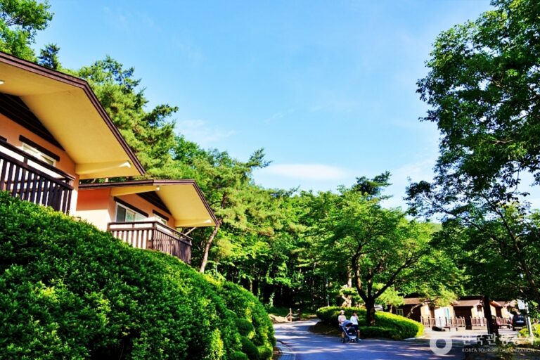 [충북] 소선암자연휴양림