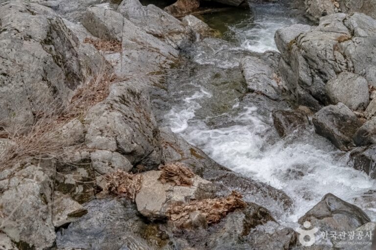 [충북] 물한계곡