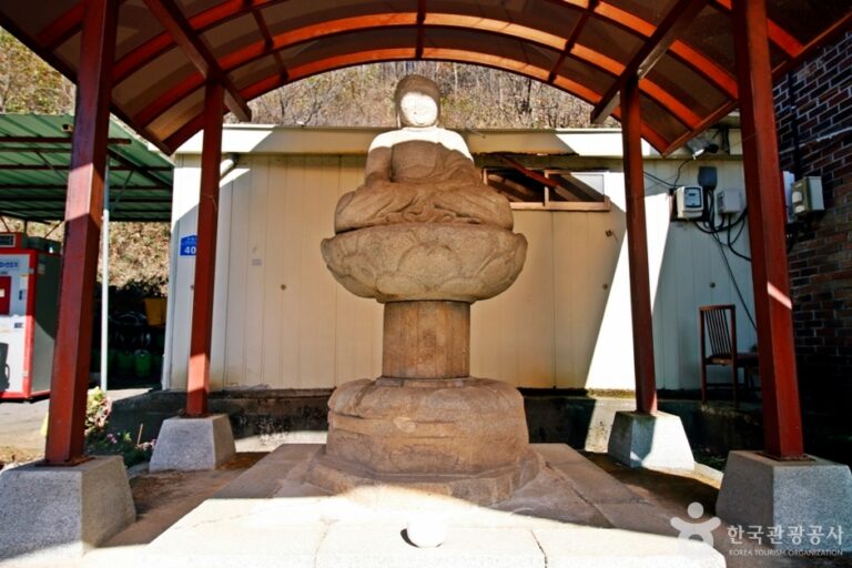 [충북] 충주 오갑사지 석조여래좌상