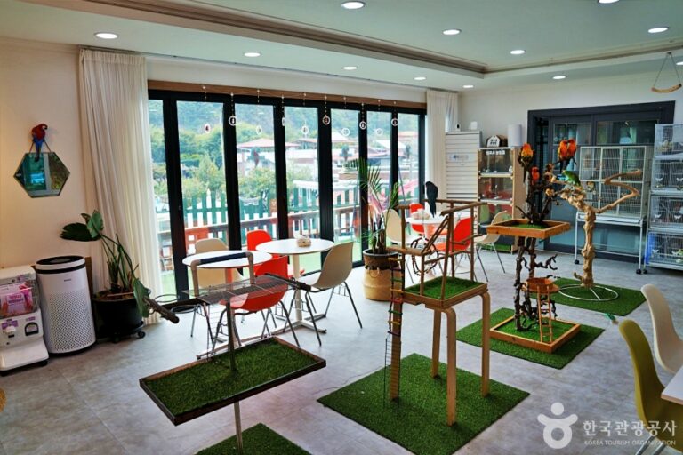 [충북] 에덴파크 단양