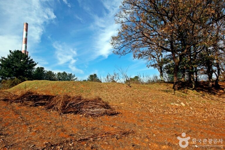 [충북] 충주 견학리 토성