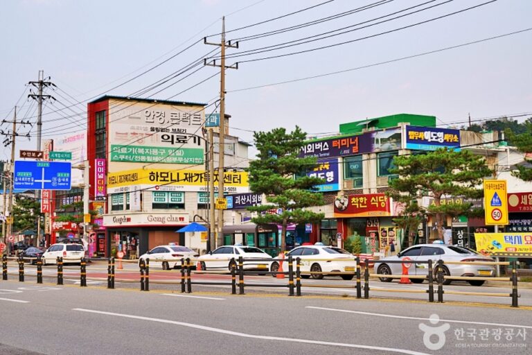 [충북] 괴산 올갱이국 거리