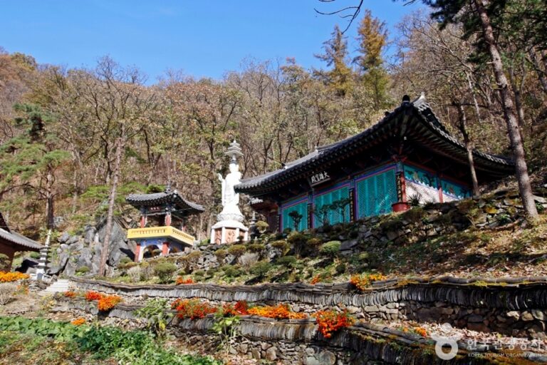 [충북] 정심사(충주)