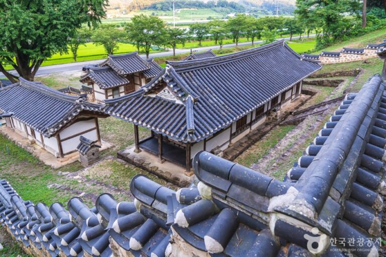 [충북] 보은풍림정사