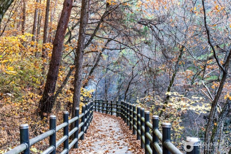 [충북] 다리안계곡