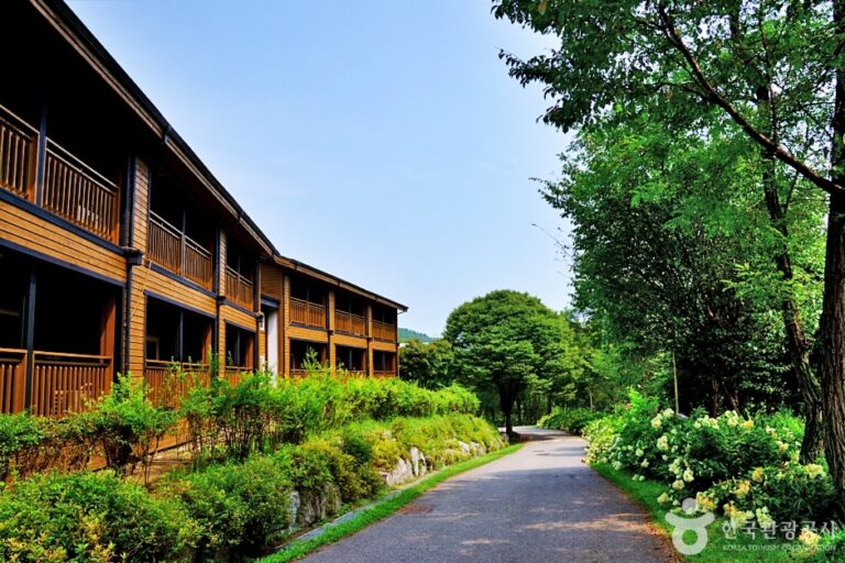 [충북] 상당산성 자연휴양림