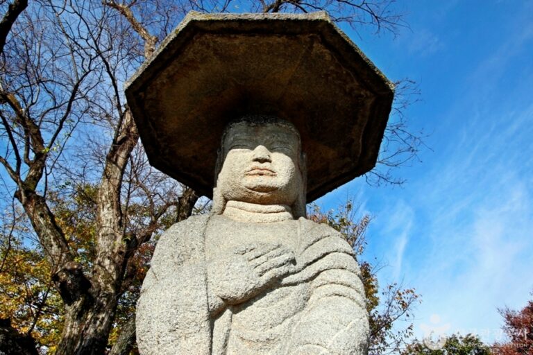 [충북] 충주 원평리 석조여래입상