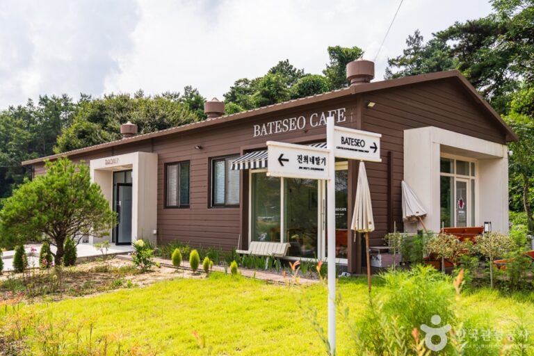 [충북] 진희네딸기