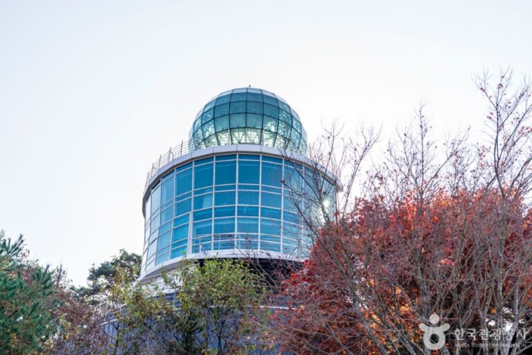 [충북] 양방산전망대