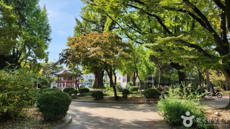 [충북] 청주 중앙공원