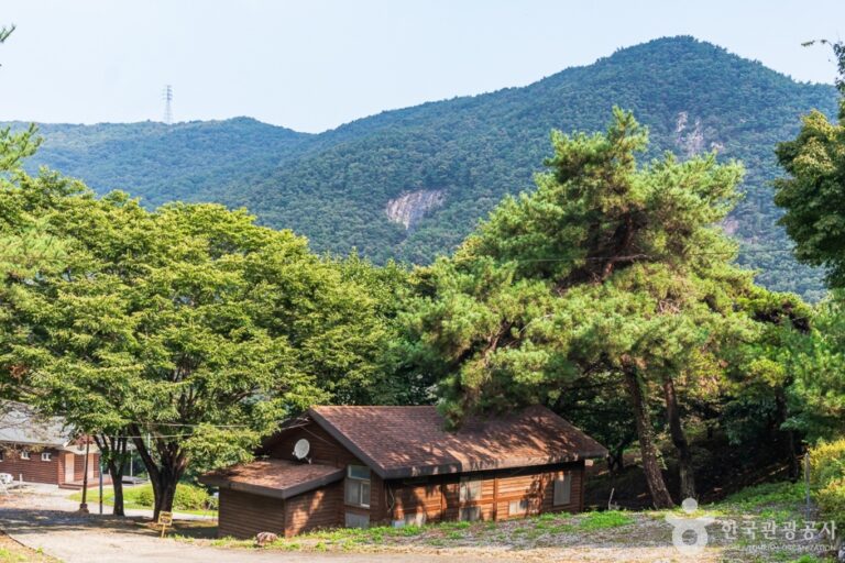 [충북] 봉황자연휴양림