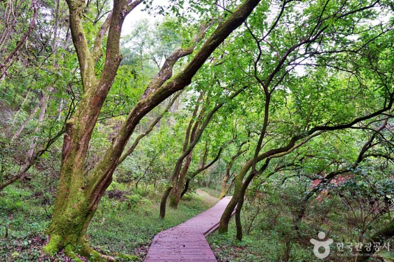 [충북] 생거진천치유의숲