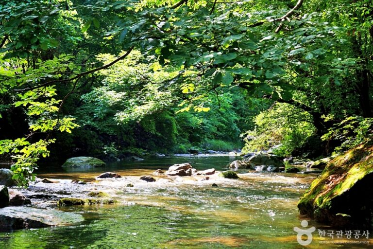 [충북] 덕동계곡