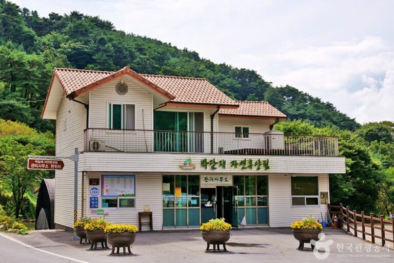 [충북] 박달재자연휴양림