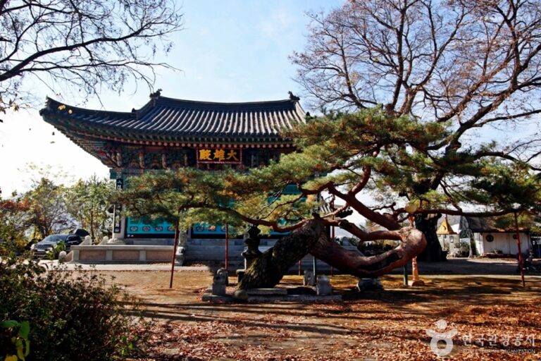 [충북] 충주 단호사 삼층석탑