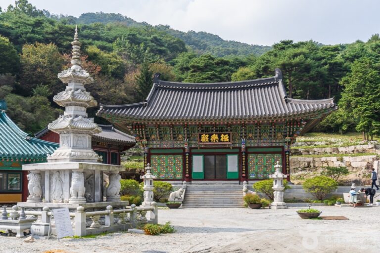 [충북] 미타사(음성)