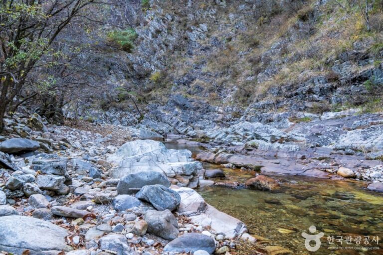 [충북] 남천계곡