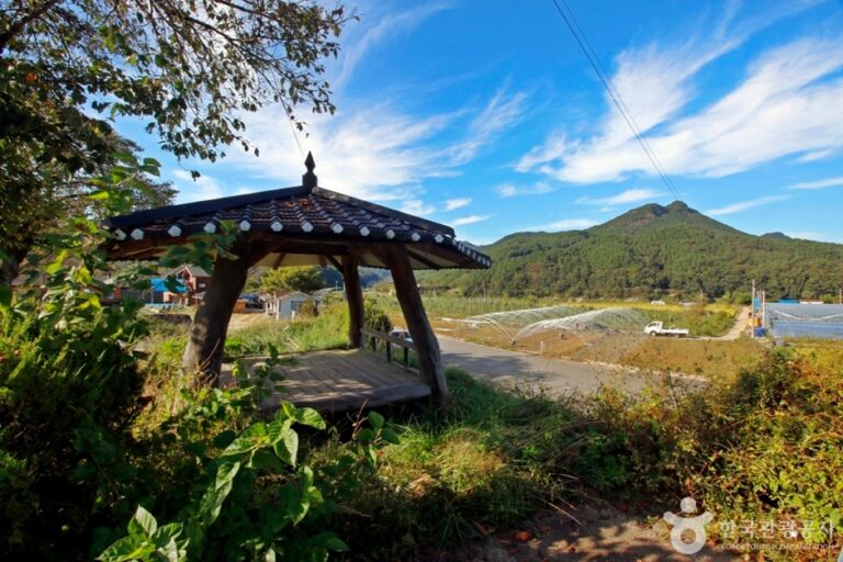 [충북] 영동 비단강숲마을