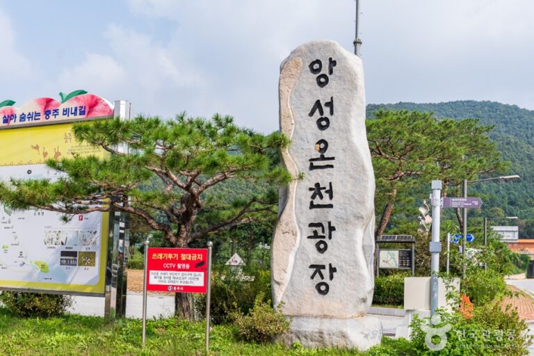 [충북] 앙성온천지구