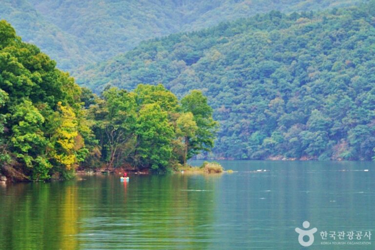 [충북] 백곡저수지