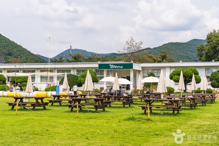 [충북] 더플레이그라운드