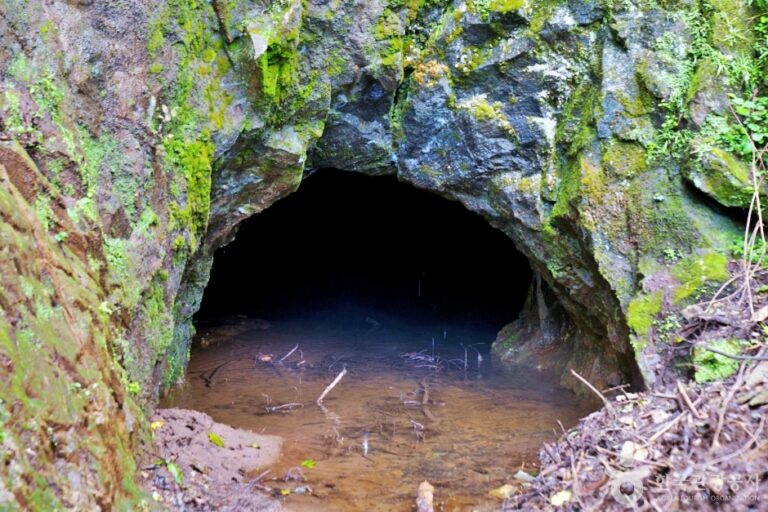 [충북] 제천 점말동굴유적