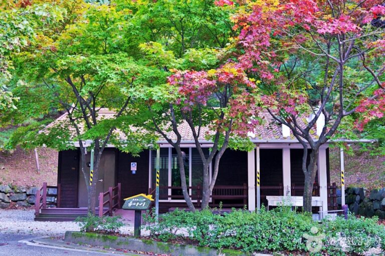 [충북] 수레의산자연휴양림