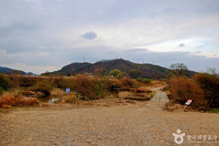 [충북] 봉황경(능암리섬)