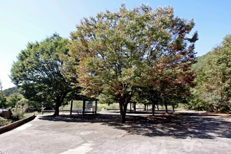 [충북] 서원계곡