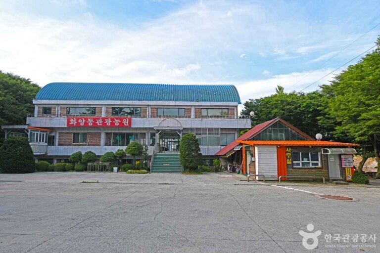 [충북] 화양동관광농원