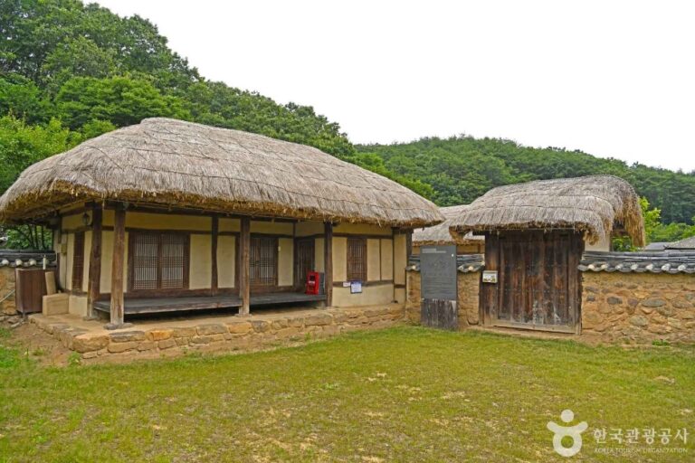 [충북] 영동 성장환 고택