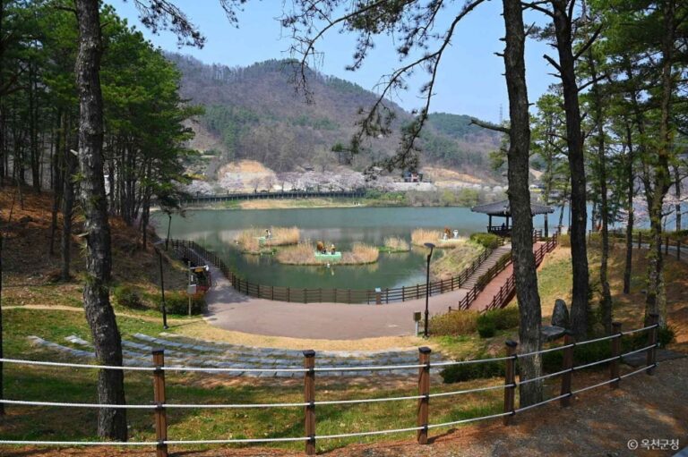 [충북] 교동저수지(교동생태습지)