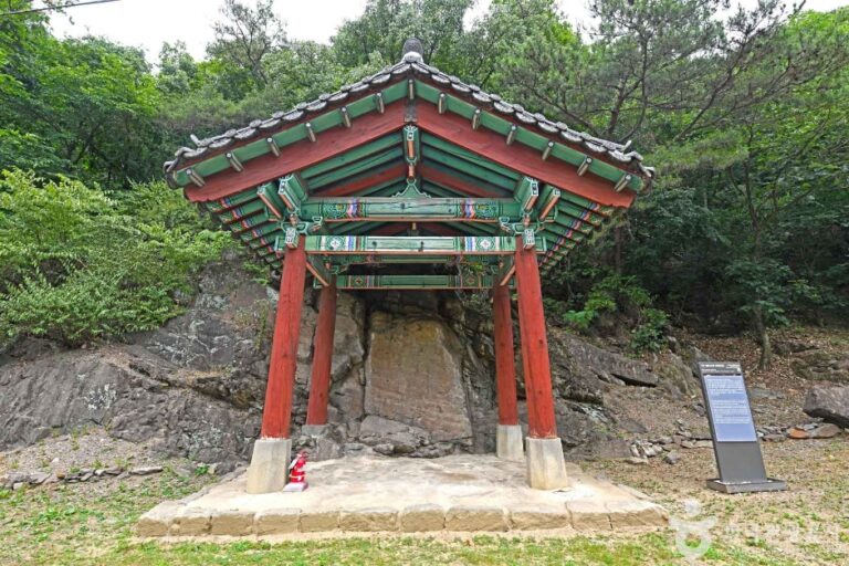 [충북] 진천 태화4년명 마애여래입상