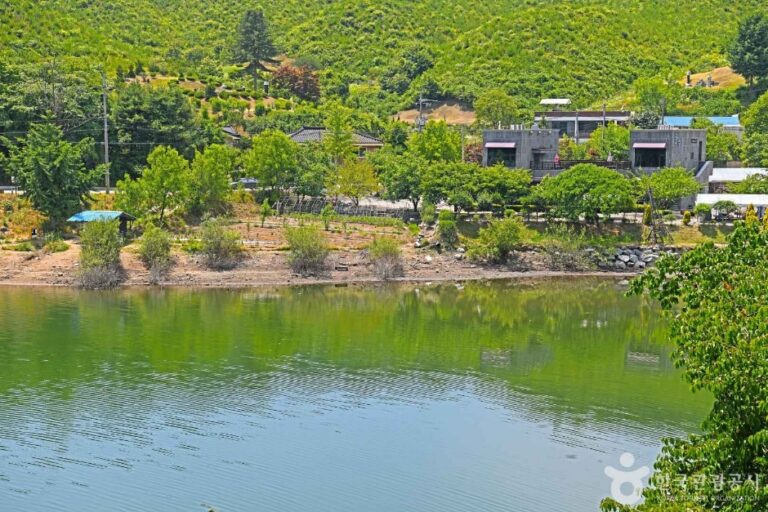 [충북] 연곡저수지