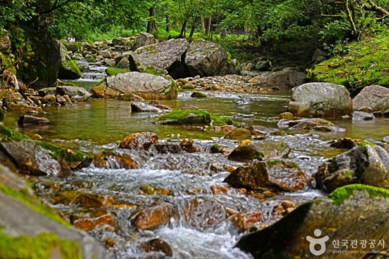 [충북] 노목계곡