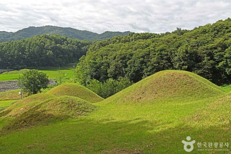 [충북] 누암리신라고분군