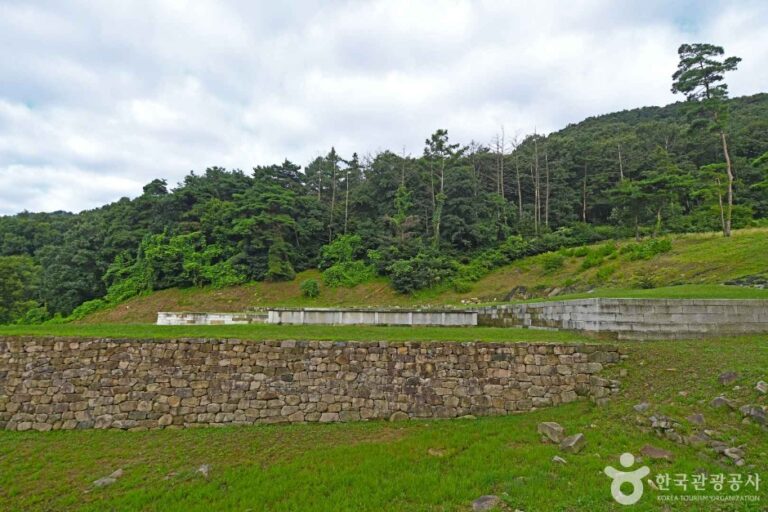 [충북] 충주 숭선사지