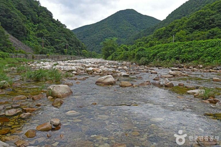 [충북] 용하구곡