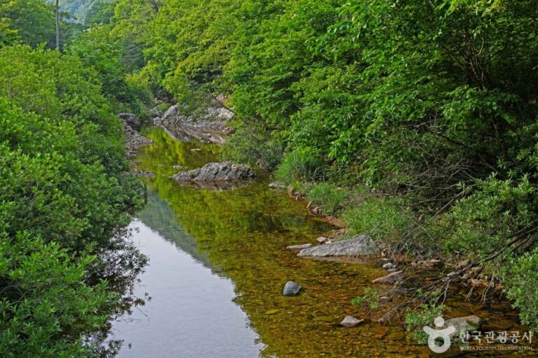 [충북] 만수계곡
