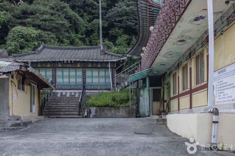 [충북] 청룡사(청주)