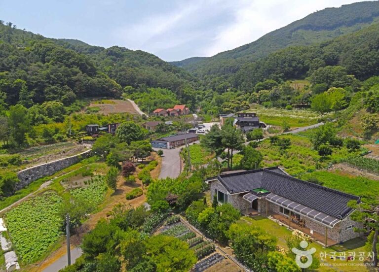 [충북] 보련마을