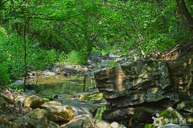 [충북] 연곡계곡