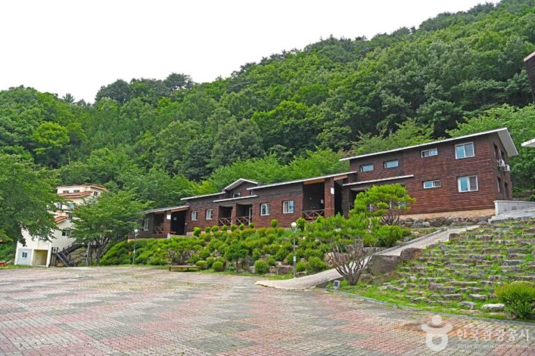 [충북] 민주지산 자연휴양림