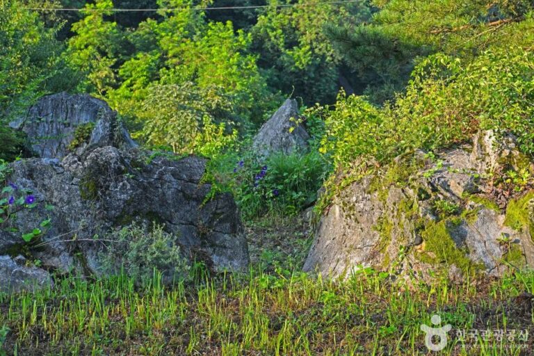 [충북] 삼태산 경관